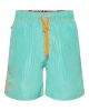 Ramatuelle caicos swim short lagune