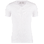 Garage tshirt v-neck semibody fit s/sl wit