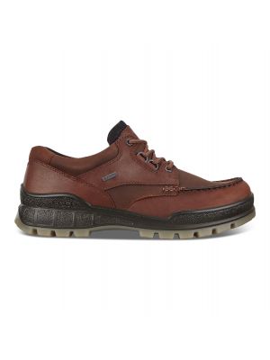 Ecco Track 25 Low GTX Bison